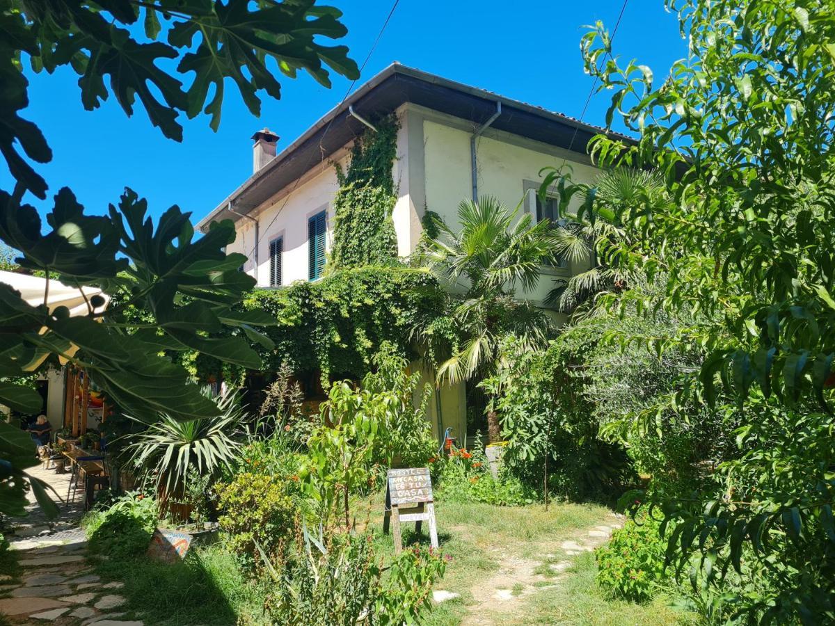 Mi Casa Es Tu Casa - Shkodra Backpackers Hostel Exterior photo